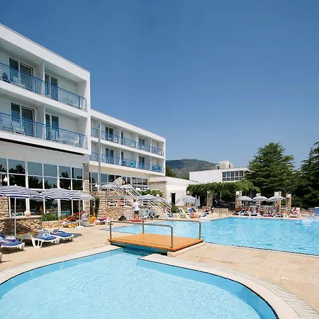 Bluesun Borak