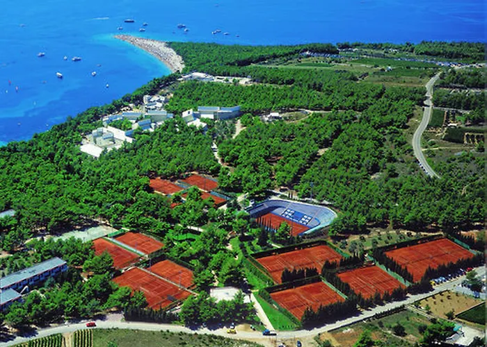 Bluesun Borak Bol